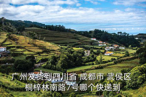 廣州發貨到四川省 成都市 武侯區 桐梓林南路7號哪個快遞到