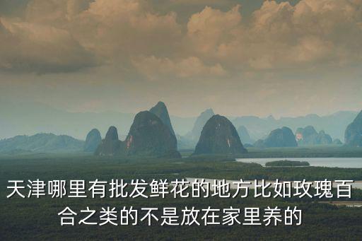 天津哪里有批發鮮花的地方比如玫瑰百合之類的不是放在家里養的