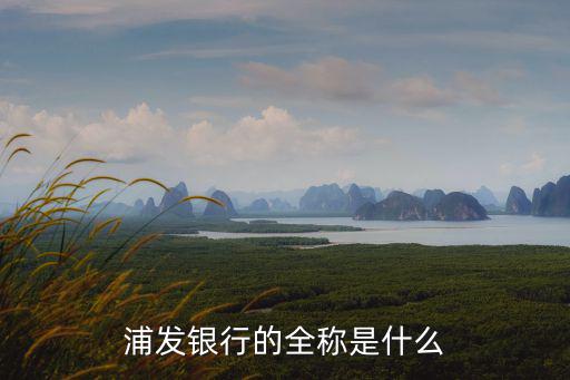 天津市和平區曲埠道浦發銀行名稱，浦發銀行 英文全稱