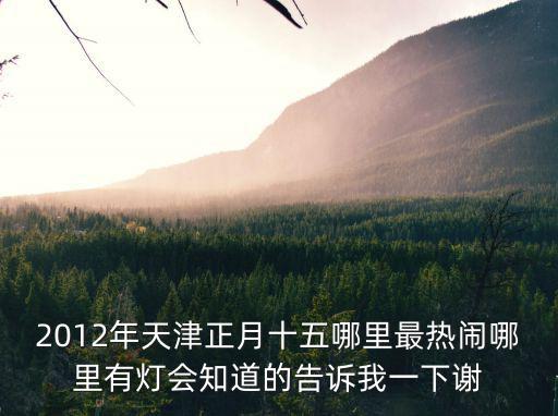 2012年天津正月十五哪里最熱鬧哪里有燈會知道的告訴我一下謝