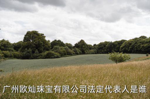 廣州凱利王定龍，廣州歐燦珠寶有限公司法定代表人是誰