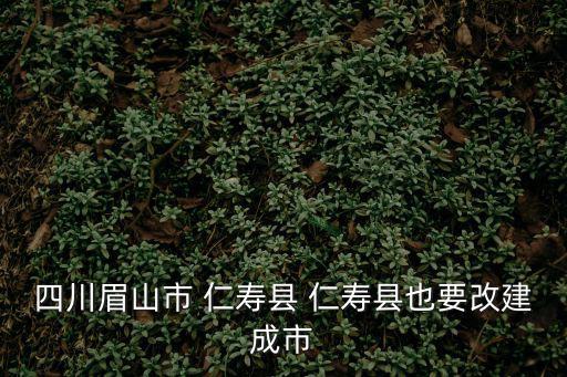成都市城鄉社區發展治理重點，成都砂舞 成都論壇