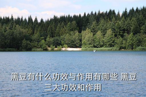 黑豆有什么功效,吃黑豆可改善女性內分泌系統