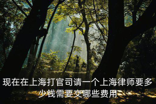 上海律師收費，上海民事訴訟請律師的費用是多少怎樣支付費用