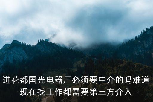 進花都國光電器廠必須要中介的嗎難道現(xiàn)在找工作都需要第三方介入