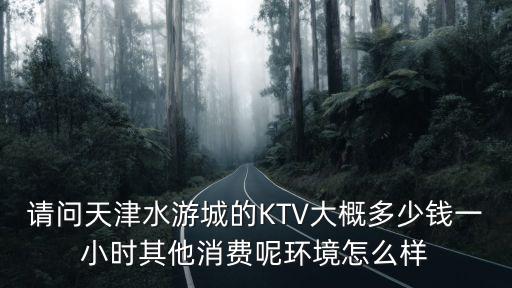 請問天津水游城的KTV大概多少錢一小時其他消費呢環境怎么樣