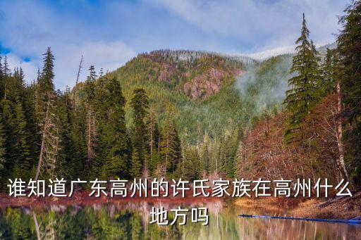 廣東許氏宗親會(huì)廣州分會(huì)，誰知道廣東高州的許氏家族在高州什么地方嗎