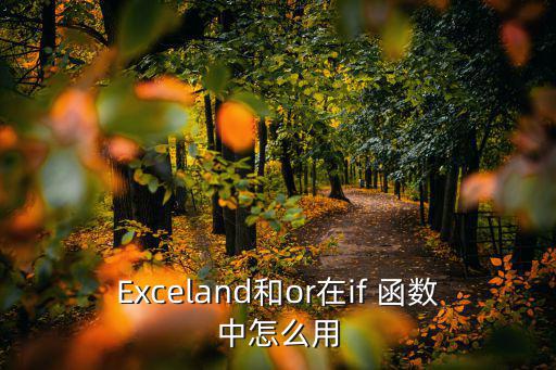 or函數,插入函數或表示只需要兩個條件中的一個