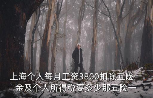 上海個人每月工資3800扣除五險一金及個人所得稅要多少那五險一