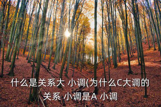 什么是關系大 小調(為什么C大調的關系 小調是A 小調