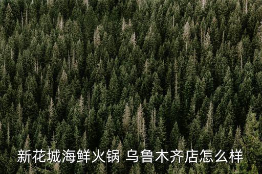 新花城海鮮火鍋 烏魯木齊店怎么樣