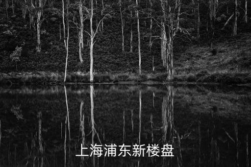 上海浦東新樓盤