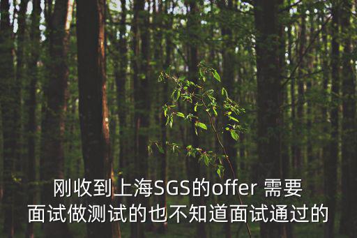 剛收到上海SGS的offer 需要面試做測試的也不知道面試通過的