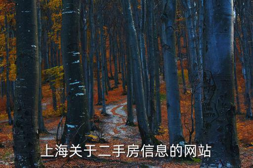 上海關(guān)于二手房信息的網(wǎng)站