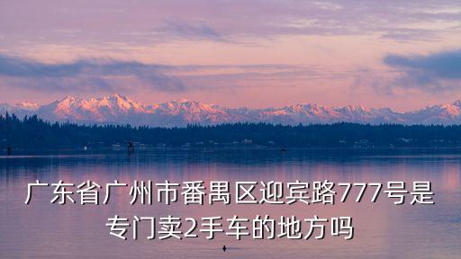廣東省廣州市番禺區迎賓路777號是專門賣2手車的地方嗎