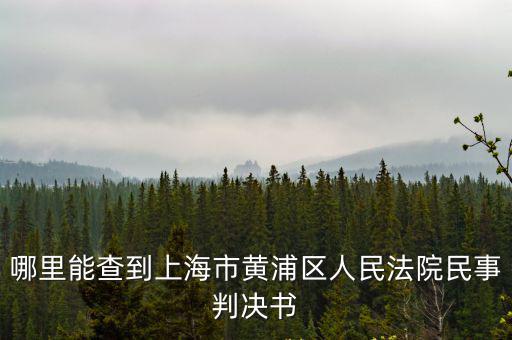 上海民事訴訟案件判決查詢網，我想查上海法院的判決書網絡上有嗎