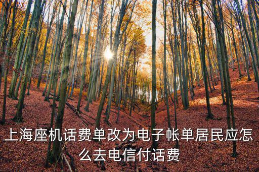 上海座機話費單改為電子帳單居民應怎么去電信付話費