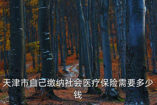 天津市自己繳納社會(huì)醫(yī)療保險(xiǎn)需要多少錢(qián)