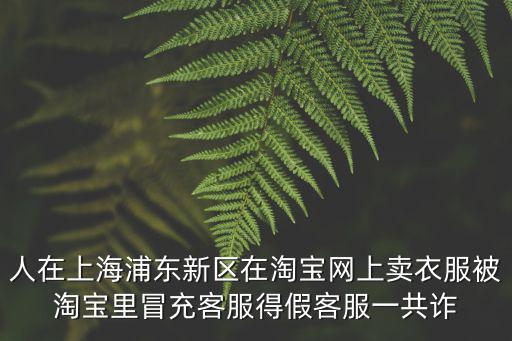 上海浦東新區最近案件，怎么查詢上海法院近期開庭案件