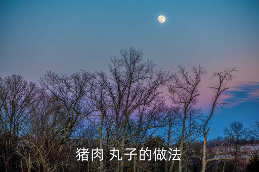 豬肉 丸子的做法