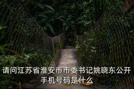 請問江蘇省淮安市市委書記姚曉東公開手機號碼是什么
