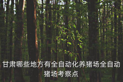 甘肅哪些地方有全自動化養豬場全自動豬場考察點