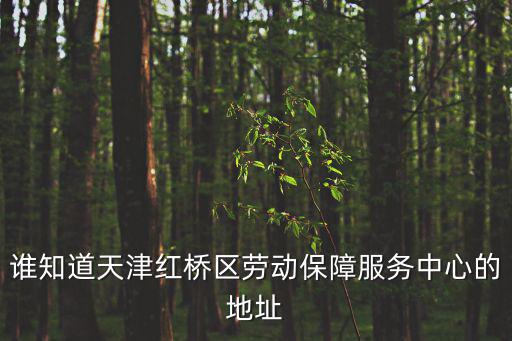 誰知道天津紅橋區勞動保障服務中心的地址