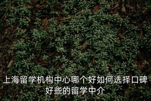 上海留學(xué)機構(gòu)中心哪個好如何選擇口碑好些的留學(xué)中介