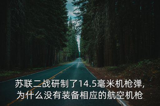 蘇聯(lián)二戰(zhàn)研制了14.5毫米機槍彈,為什么沒有裝備相應的航空機槍