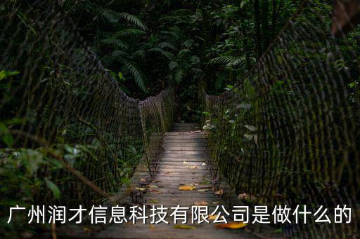 廣州潤才信息科技有限公司是做什么的