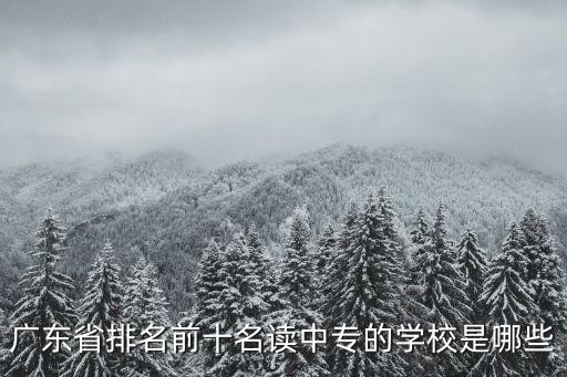 廣東省排名前十名讀中專的學校是哪些