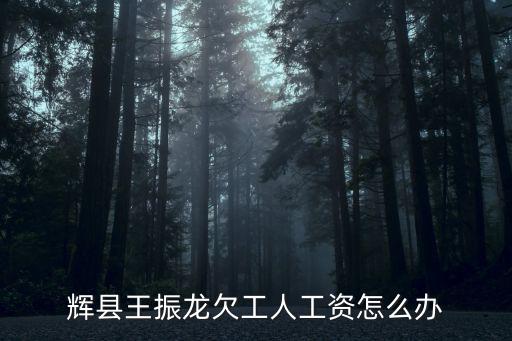 輝縣王振龍欠工人工資怎么辦