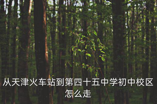 從天津火車站到第四十五中學(xué)初中校區(qū)怎么走