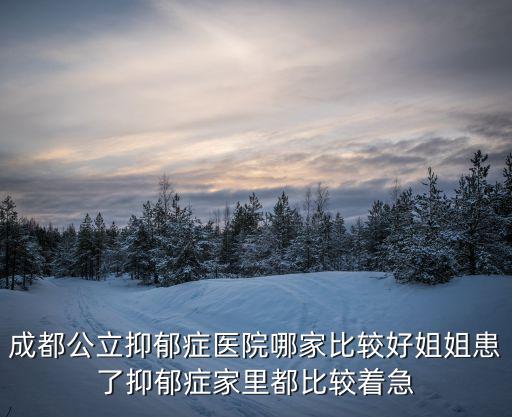 成都公立抑郁癥醫(yī)院哪家比較好姐姐患了抑郁癥家里都比較著急