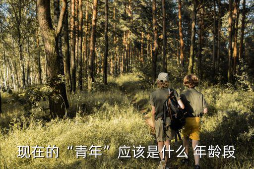 現在的“青年”應該是什么 年齡段