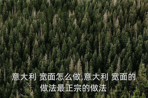 寬面的做法,手工意大利寬面的做法