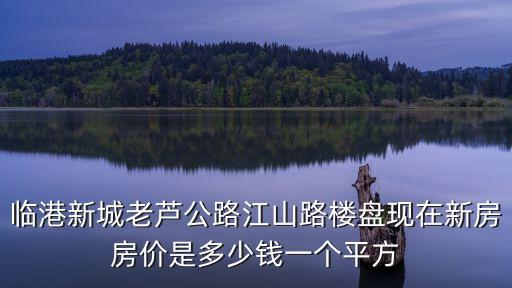 上海臨港新房樓盤，臨武現在有電梯房新樓盤出售嗎 價格是多少 臨武現在的樓層房在什么