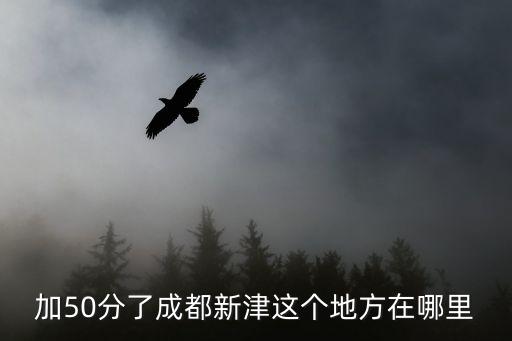 加50分了成都新津這個地方在哪里