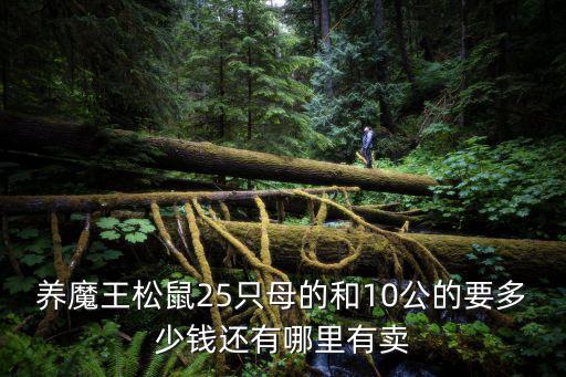 養魔王松鼠25只母的和10公的要多少錢還有哪里有賣