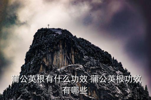 蒲公英根,蒲公英的功效與作用是什么?