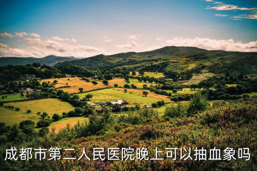 成都市第二人民醫院晚上可以抽血象嗎
