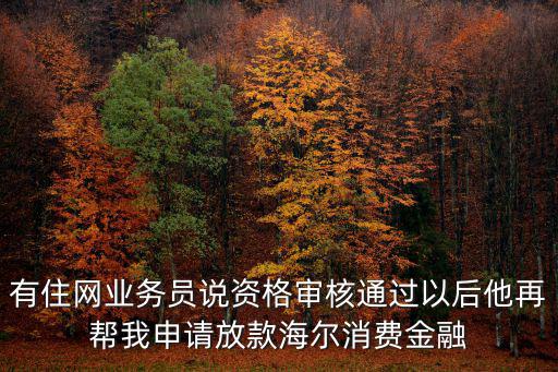 有住網(wǎng)業(yè)務(wù)員說資格審核通過以后他再幫我申請放款海爾消費(fèi)金融