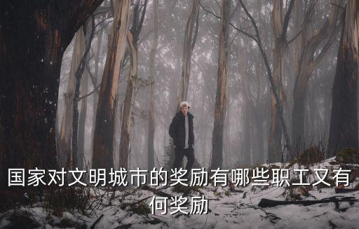 天津市文明城市創(chuàng)建獎(jiǎng)勵(lì)辦法，榮成創(chuàng)建文明城市機(jī)關(guān)事業(yè)人員公務(wù)員發(fā)獎(jiǎng)金有沒(méi)有這回事  搜
