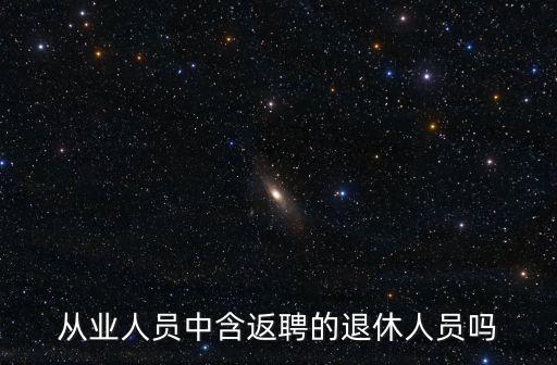 從業人員中含返聘的退休人員嗎