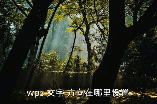 文字方向,文字方向對話框添七個新功能