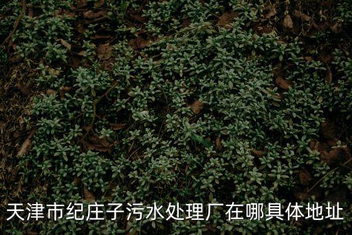 天津市于莊子水庫在哪里，天津市紀莊子污水處理廠在哪具體地址