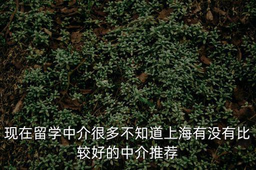 上海留學生落戶中介，上海留學中介哪家比較好想去意大利