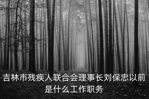 吉林市殘疾人聯合會理事長劉保忠以前是什么工作職務