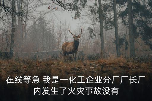 天津市一化工廠起火，化工廠發(fā)生火災(zāi)的急救