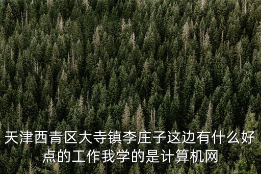 天津市西青區(qū)王寶龍，天津市西青區(qū)菜臺(tái)村的村委書記叫什么